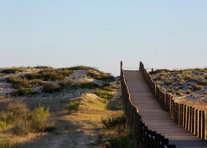 Oleander Terrace Albufeira Appartement District de Faro
