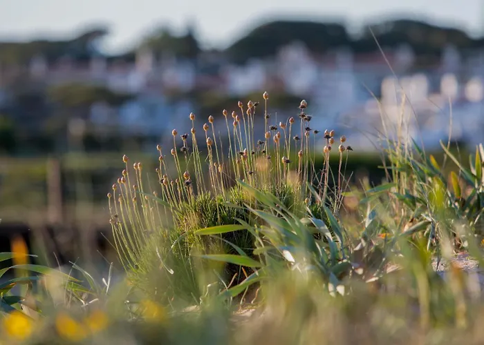 Oleander Terrace Albufeira Appartement *