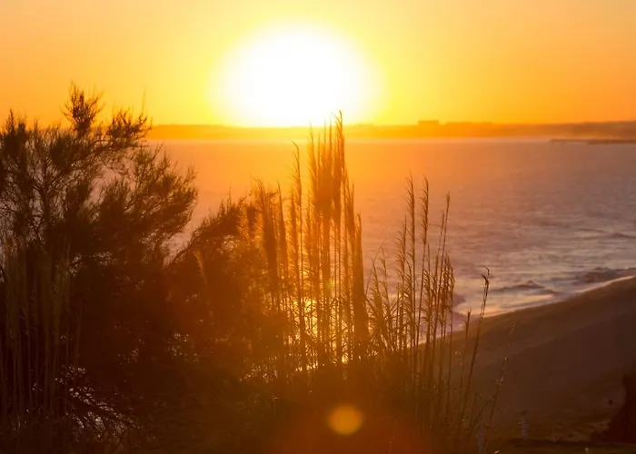 Oleander Terrace Albufeira Appartement
