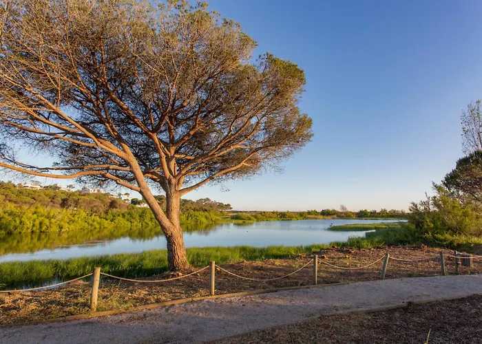 Oleander Terrace Albufeira *