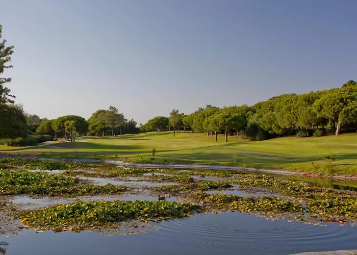 Oleander Terrace Albufeira District de Faro