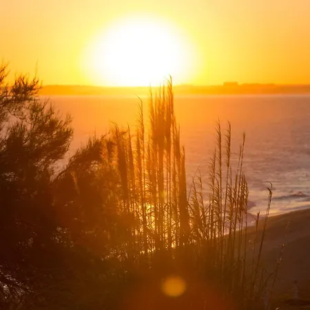 Oleander Terrace Albufeira Апартаменты